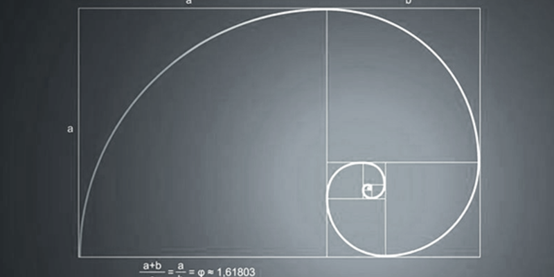 Spiraling - Capturing the Spiral to Move Better